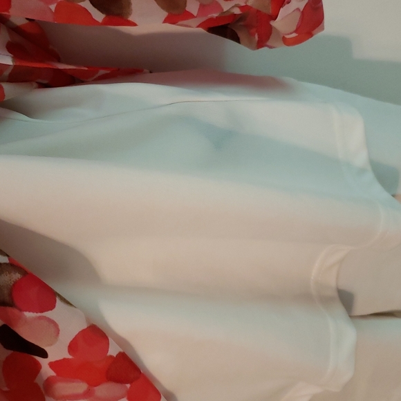 Zac & Rachel sheer blouse with a camisole.  2 pc. set. Size L. Like new conditio - Picture 4 of 6